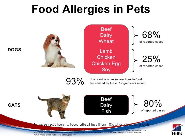 Best Meat For Dogs With Food Allergies Best Meat For Dogs With Food Allergies