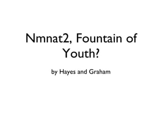 Nmnat2, Fountain of Youth? by Hayes and Graham 