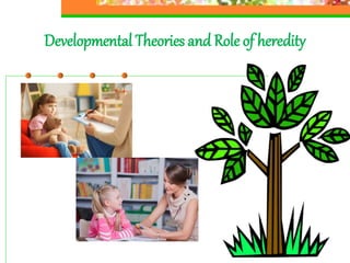 Developmental Theories and Role of heredity
 