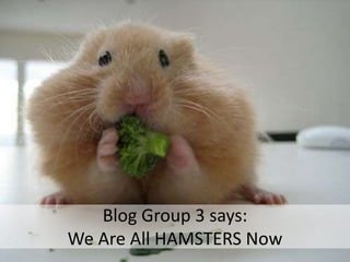 Blog Group 3 says:We Are All HAMSTERS Now 