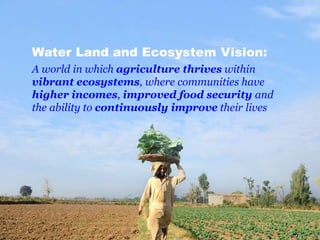 Nairobi ILRI-WLE: Blogging for Impact 