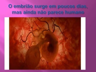 Identificar patologias mamárias – quais e tratamento;