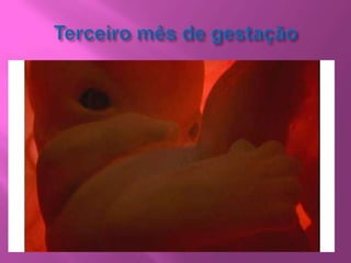 História Pregressa Pessoal: