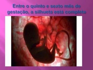 Pesquisar doenças crônicas e agudas passadas.