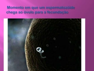 Pesquisar doenças sexualmente transmissíveis (DST), teste realizados, inclusive puerpério;