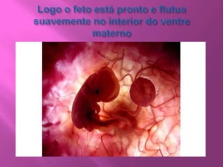 Identificar patologias mamárias – quais e tratamento;