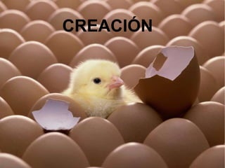 CREACIÓN 