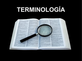TERMINOLOGÍA 