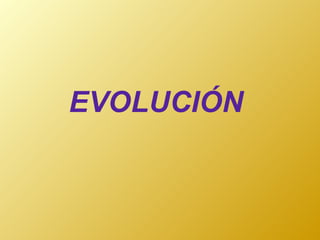 EVOLUCIÓN  