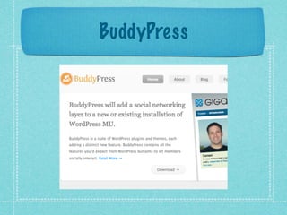 BuddyPress
 