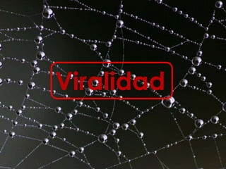 Viralidad
 