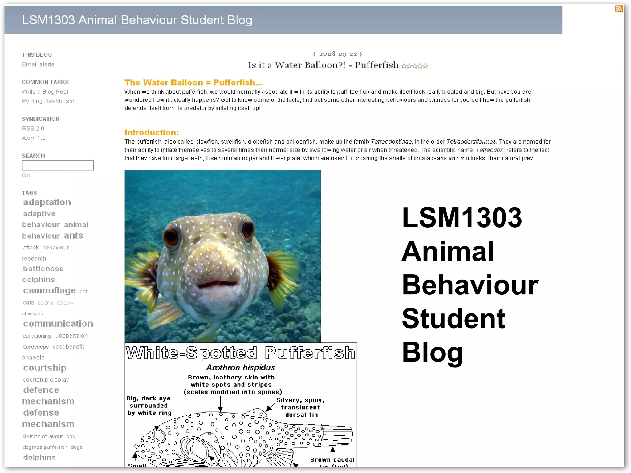 Blogs, Wikis and eLearning Week