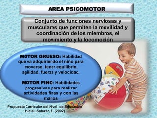 AREA PSICOMOTOR
Conjunto de funciones nerviosas y
musculares que permiten la movilidad y
coordinación de los miembros, el
movimiento y la locomoción
MOTOR GRUESO: Habilidad
que va adquiriendo el niño para
moverse, tener equilibrio,
agilidad, fuerza y velocidad.
MOTOR FINO: Habilidades
progresivas para realizar
actividades finas y con las
manos
Propuesta Curricular del Nivel de Educación
Inicial. Salazar, E. (2002)

 