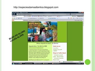 BLOG DO ALUNO  LUCAS ALVES http://especiesdamaatlantica.blogspot.com 