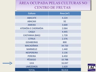 ÁREA OCUPADA PELAS CULTURAS NO CENTRO DE FRUTAS  Cultura Área (m 2 ) ABACATE 4.224 ABACAXI 92 AMEIXA 3.600 ATEMÓIA E CHERIMÓIA 2.064 CAQUI 4.445 CASTANHA (BAG) 1.728 CITRUS 2.376 GOIABEIRAS 800 MACADÂMIA  34.720 MARMELO 1.440 NESPEREIRA 3.136 PEREIRA 6.450 PÊSSEGO  10.788 UVA 16.047 UMEZEIROS 1.620 TOTAL 96.814 