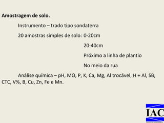 Amostragem de solo.   Instrumento – trado tipo sondaterra 20 amostras simples de solo:  0-20cm  20-40cm   Próximo a linha de plantio No meio da rua Análise química – pH, MO, P, K, Ca, Mg, Al trocável, H + Al, SB, CTC, V%, B, Cu, Zn, Fe e Mn .  