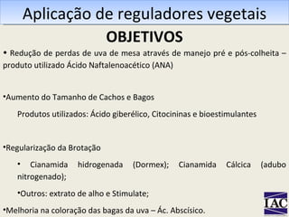 Aplicação de reguladores vegetais Redução de perdas de uva de mesa através de manejo pré e pós-colheita – produto utilizado Ácido Naftalenoacético (ANA) Aumento do Tamanho de Cachos e Bagos  Produtos utilizados: Ácido giberélico, Citocininas e bioestimulantes Regularização da Brotação Cianamida hidrogenada (Dormex); Cianamida Cálcica (adubo nitrogenado); Outros: extrato de alho e Stimulate; Melhoria na coloração das bagas da uva – Ác. Abscísico. OBJETIVOS 