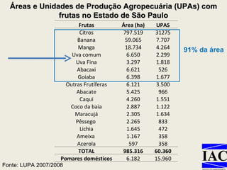 Áreas e Unidades de Produção Agropecuária (UPAs) com frutas no Estado de São Paulo Fonte: LUPA 2007/2008 91% da área Frutas Área (ha) UPAS Citros 797.519 31275 Banana 59.065 7.707 Manga 18.734 4.264 Uva comum 6.650 2.299 Uva Fina 3.297 1.818 Abacaxi 6.621 526 Goiaba 6.398 1.677 Outras Frutíferas 6.121 3.500 Abacate 5.425 966 Caqui 4.260 1.551 Coco da baia 2.887 1.122 Maracujá 2.305 1.634 Pêssego  2.265 833 Lichia 1.645 472 Ameixa  1.167 358 Acerola 597 358 TOTAL 985.316 60.360 Pomares domésticos 6.182 15.960 