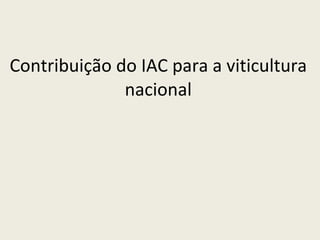 Contribuição do IAC para a viticultura nacional 