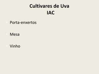 Cultivares de Uva  IAC Porta-enxertos Mesa Vinho 