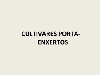 CULTIVARES PORTA-ENXERTOS 