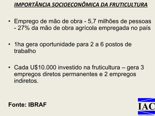 IMPORTÂNCIA SOCIOECONÔMICA DA FRUTICULTURA Emprego de mão de obra - 5,7 milhões de pessoas - 27% da mão de obra agrícola empregada no país 1ha gera oportunidade para 2 a 6 postos de trabalho Cada U$10.000 investido na fruticultura – gera 3 empregos diretos permanentes e 2 empregos indiretos. Fonte: IBRAF 