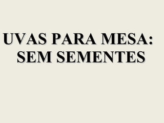 UVAS PARA MESA: SEM SEMENTES 