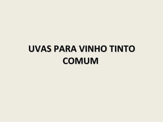 UVAS PARA VINHO TINTO COMUM  