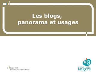 Les blogs,
               panorama et usages




1   01 juin 2010
    Daniel Bourrion / SCD / Bibnum
 