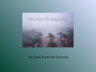 An Oasis From the Ordinary 
