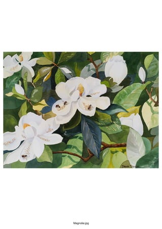Magnolia.jpg
 