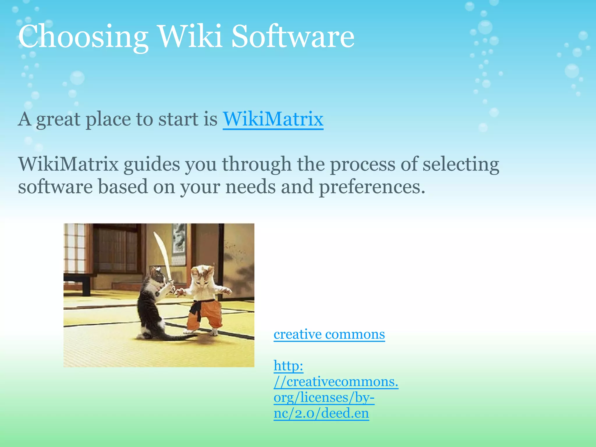 Blogs&Wikis