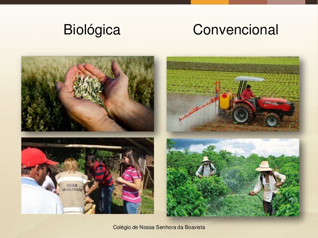 Agricultura Biológica vs Agricultura convencional