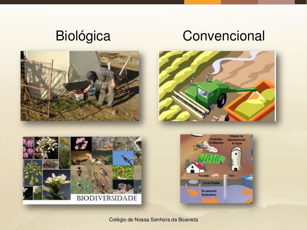 Agricultura Biológica vs Agricultura convencional