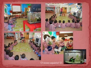 O nosso aquário! 
 