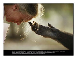 Nichols, Michael. Jou Jou, captive chimpanzee reaches out it's hand to Dr. Jane Goodall. 8 Apr. 2008. National Geographic.
National Geographic Society, n.d. Web. 15 Dec. 2010. <http://photography.nationalgeographic.com/
wallpaper/photography/photos/milestones-wildlife-photography/goodall-touch/>.
 