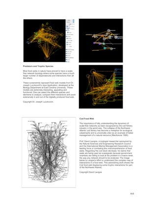 Blogviz Thesis by Manuel Lima