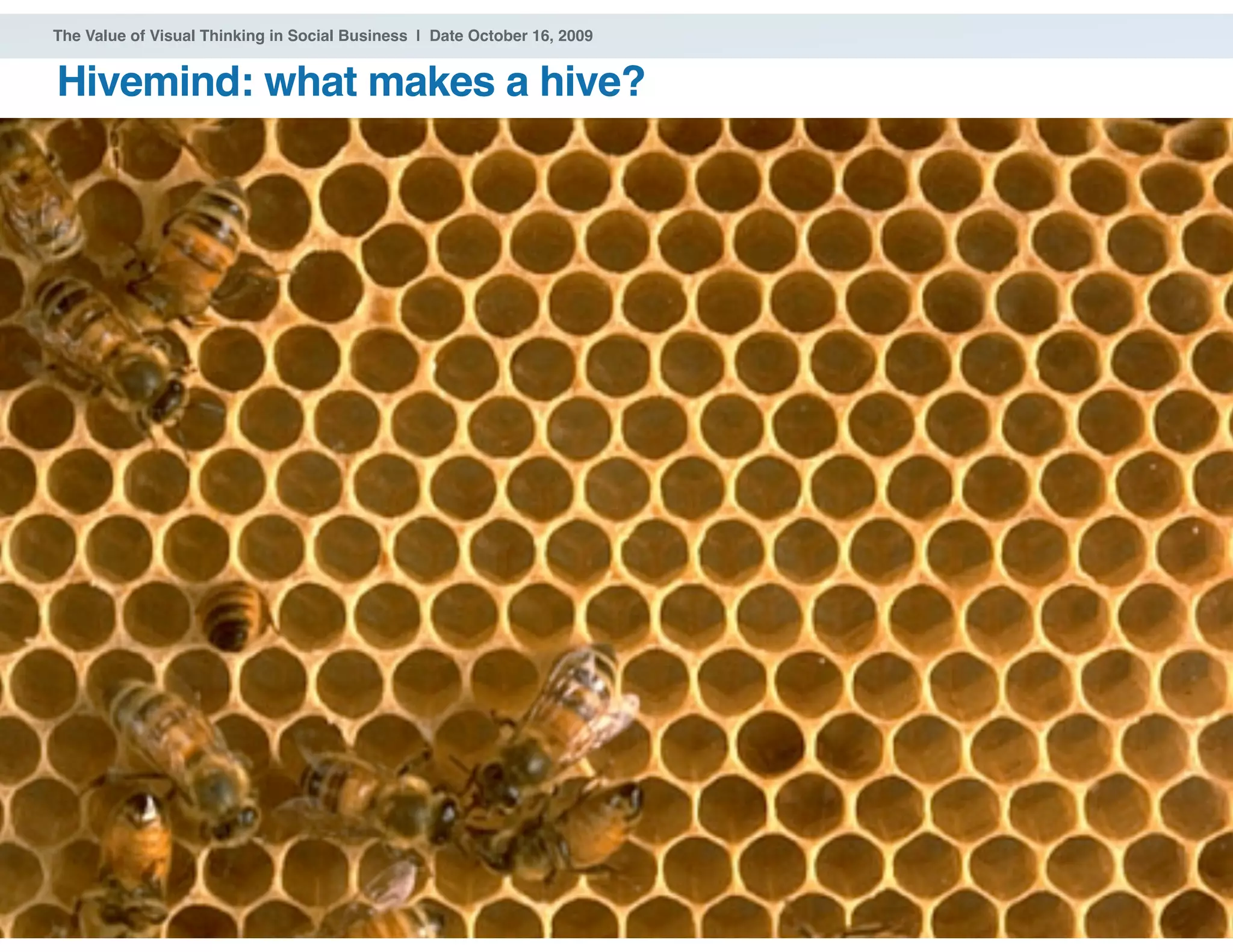 ® 2009 Dachis Group. Confidential and Proprietary
The Value of Visual Thinking in Social Business | Date October 16, 2009
Hivemind: what makes a hive?
41
 