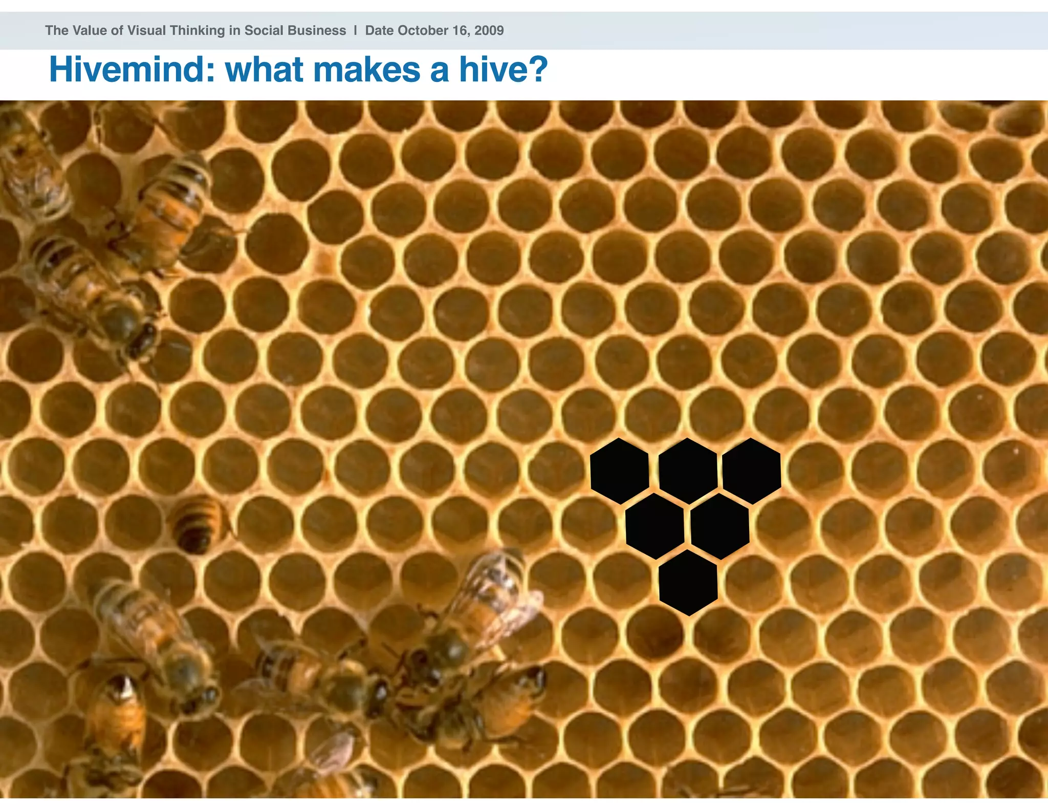 ® 2009 Dachis Group. Confidential and Proprietary
The Value of Visual Thinking in Social Business | Date October 16, 2009
Hivemind: what makes a hive?
42
 