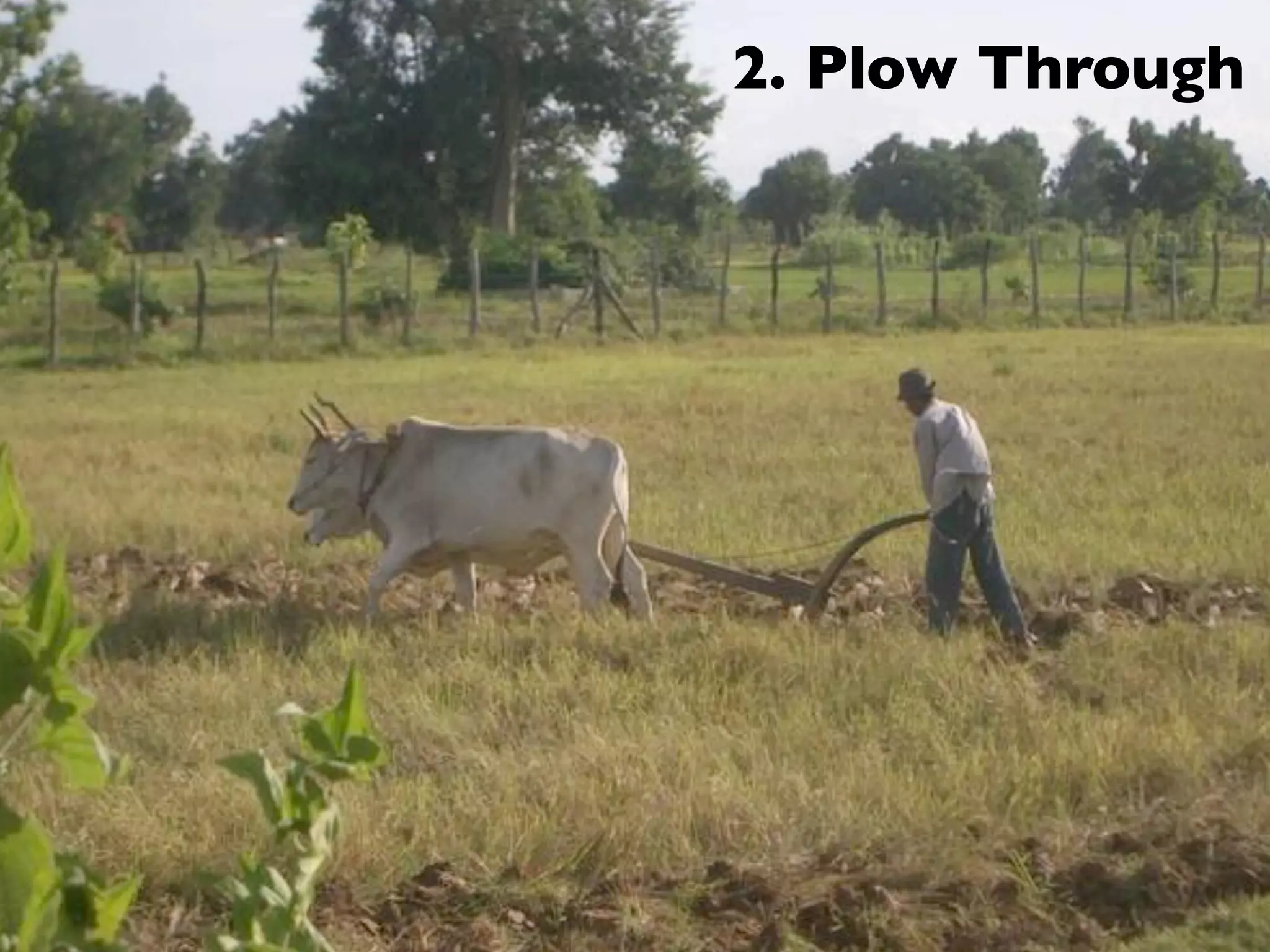 2. Plow Through