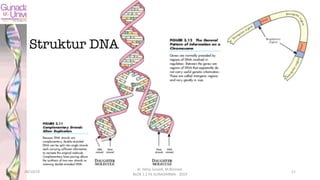 Struktur DNA
28/10/19
dr. Helsy Junaidi, M.Biomed.
BLOK 1.2 FK GUNADARMA - 2019
11
 