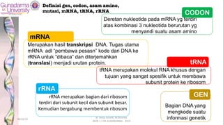 CODON
Deretan nukleotida pada mRNA yg terdiri
atas kombinasi 3 nukleotida berurutan yg
menyandi suatu asam amino
mRNA
Merupakan hasil transkripsi DNA. Tugas utama
mRNA adl “pembawa pesasn” kode dari DNA ke
rRNA untuk ”dibaca” dan diterjemahkan
(translasi) menjadi urutan protein. tRNA
tRNA merupakan molekul RNA khusus dengan
tujuan yang sangat spesifik untuk membawa
subunit protein ke ribosom
rRNA
GEN
Bagian DNA yang
mengkode suatu
informasi genetik
Definisi gen, codon, asam amino,
mutasi, mRNA, tRNA, rRNA
rRNA merupakan bagian dari ribosom
terdiri dari subunit kecil dan subunit besar.
Kemudian bergabung membentuk ribosom
28/10/19
dr. Helsy Junaidi, M.Biomed.
BLOK 1.2 FK GUNADARMA - 2019
12
 