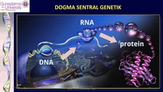 28/10/19
dr. Helsy Junaidi, M.Biomed.
BLOK 1.2 FK GUNADARMA - 2019
14
 