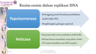 Enzim-enzim dalam replikasi DNA
• bertanggung jawab dimulainya pembukaan
double heliks DNA
• Menghilangkan gulungan supercoil.
Topoisomerase
• Menyempurnakan proses pembukaan double heliks.
• Aktivitas helicase memerlukan energi dalam bentuk
ATP untuk memisahkan untai DNA menjadi 2
Helicase
28/10/19
dr. Helsy Junaidi, M.Biomed.
BLOK 1.2 FK GUNADARMA - 2019
20
 