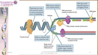 28/10/19
dr. Helsy Junaidi, M.Biomed.
BLOK 1.2 FK GUNADARMA - 2019
23
 