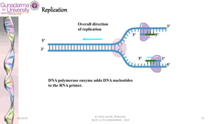 Overall direction
of replication
5’
3’
5’
3’
5’
3’
3’
5’
DNA polymerase enzyme adds DNA nucleotides
to the RNA primer.
Replication
28/10/19
dr. Helsy Junaidi, M.Biomed.
BLOK 1.2 FK GUNADARMA - 2019
32
 