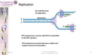 DNA polymerase enzyme adds DNA nucleotides
to the RNA primer.
5’
5’
Overall direction
of replication
5’
3’
5’
3’
3’
3’
DNA polymerase proofreads bases added and
replaces incorrect nucleotides.
Replication
28/10/19
dr. Helsy Junaidi, M.Biomed.
BLOK 1.2 FK GUNADARMA - 2019
33
 