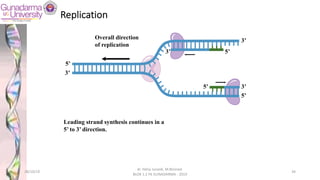 5’
5’
3’
5’
3’
3’
5’
3’
Overall direction
of replication
Leading strand synthesis continues in a
5’ to 3’ direction.
Replication
28/10/19
dr. Helsy Junaidi, M.Biomed.
BLOK 1.2 FK GUNADARMA - 2019
34
 