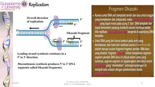 Replication
3’
5’ 5’
5’
3’
5’
3’
3’
5’
3’
Overall direction
of replication
Okazaki fragment
Leading strand synthesis continues in a
5’ to 3’ direction.
Discontinuous synthesis produces 5’ to 3’ DNA
segments called Okazaki fragments.
28/10/19
dr. Helsy Junaidi, M.Biomed.
BLOK 1.2 FK GUNADARMA - 2019
35
 