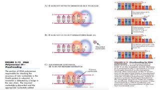 28/10/19
dr. Helsy Junaidi, M.Biomed.
BLOK 1.2 FK GUNADARMA - 2019
41
 